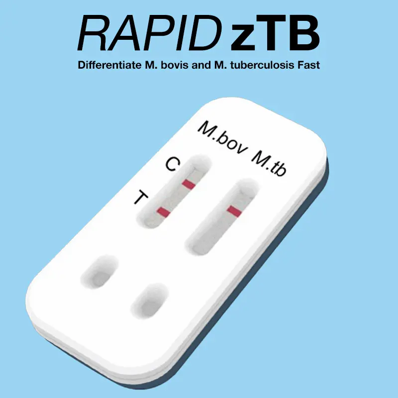 Complementary Lateral Flow Test